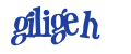Enter the code